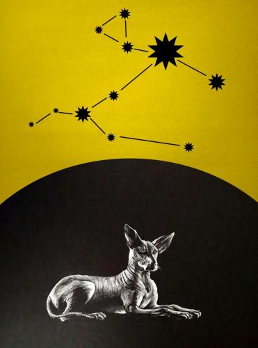 XOLO IN THE SKY WITH DIAMONDS